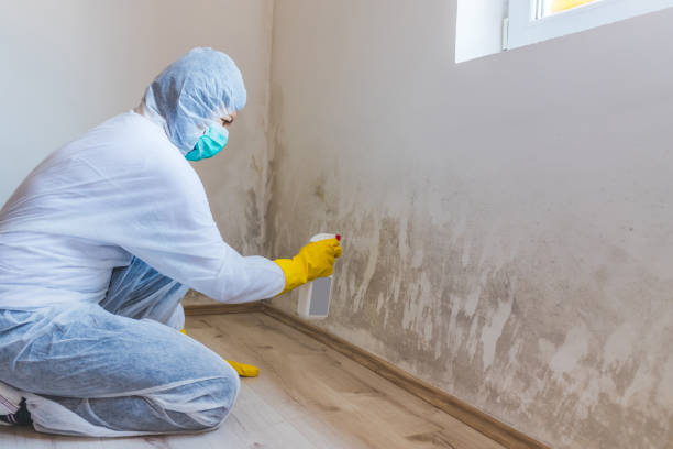 Hvac And Air Duct Mold Remediation inspection of HVAC system in Millersville